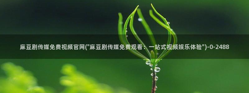 麻豆传媒官网在线:麻豆剧传媒免费视频官网(\