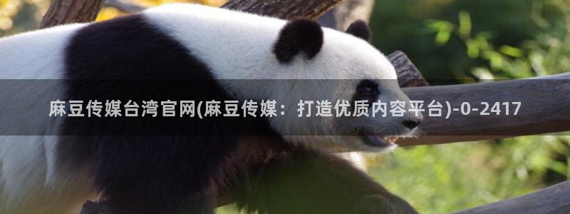 麻豆传媒直播app官网:麻豆传媒台湾官网(麻豆传媒:打造优质内容平台)